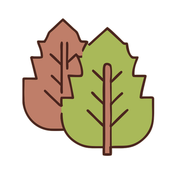 1 (2567).png